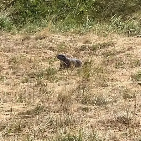 Duplex Cosy Face Aux Montagnes- Ideal Familles&ski Lägenhet *